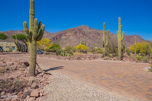 10657 E Cloudview Ave, Gold Canyon, AZ 85118 - view of mountain feature