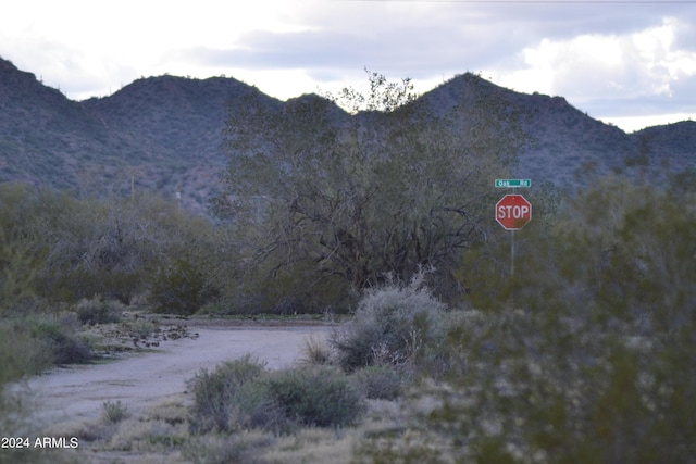 0 W Agate Rd Unit E 1/2Lot 101, Maricopa, AZ 85139
