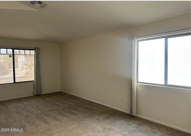 empty room featuring carpet floors