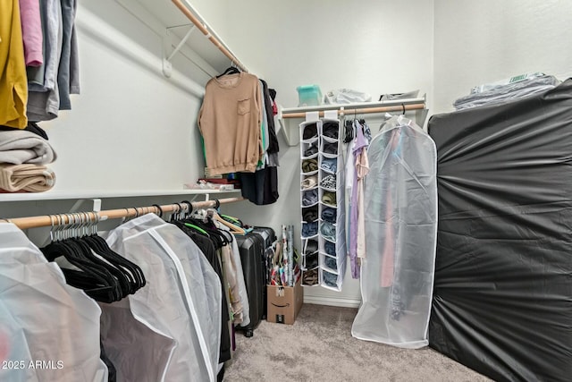 spacious closet featuring light carpet