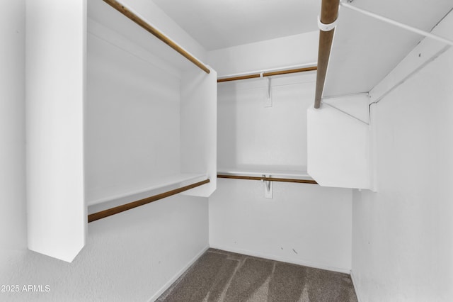 6410 W Winslow Ave, Phoenix, AZ 85043 - spacious closet featuring carpet flooring