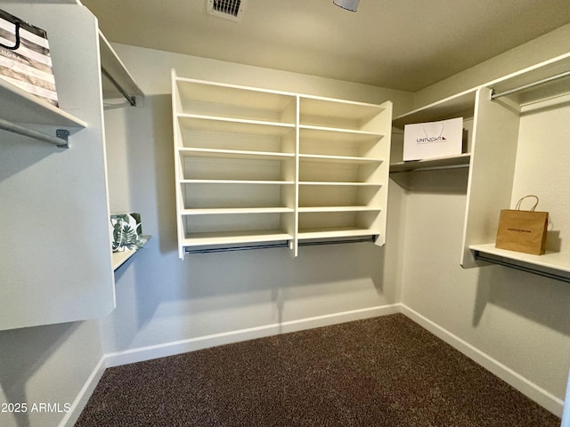 spacious closet with carpet flooring