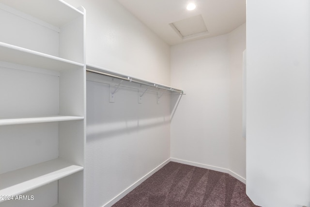 walk in closet with carpet