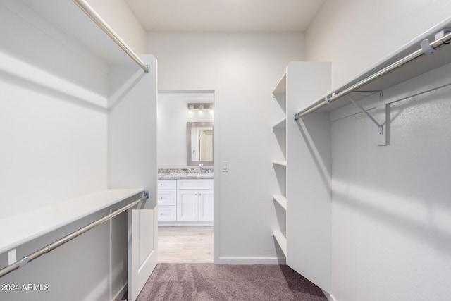 walk in closet featuring sink and light carpet