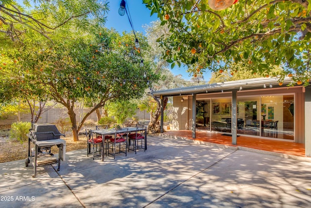 view of patio / terrace with a grill