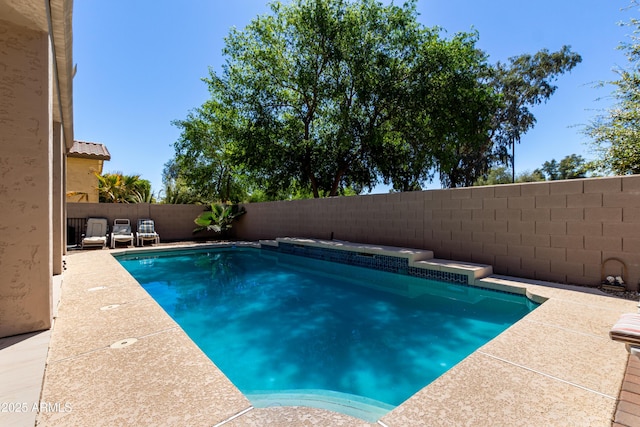 view of swimming pool with a fenced backyard, a patio area, and a fenced in pool