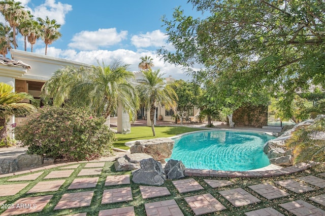 1330 N 40th St Unit 1, Mesa, AZ 85205 - outdoor pool with a lawn