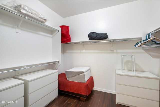 4032 S Santa Rita Pl, Chandler, AZ 85249 - spacious closet featuring wood finish floors