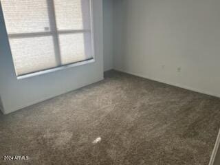 unfurnished room featuring carpet flooring