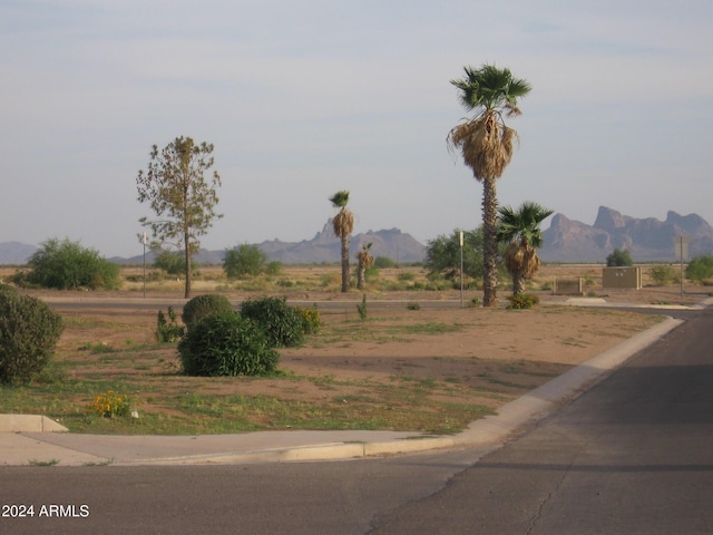 view of yard featuring a rural view and a mountain view