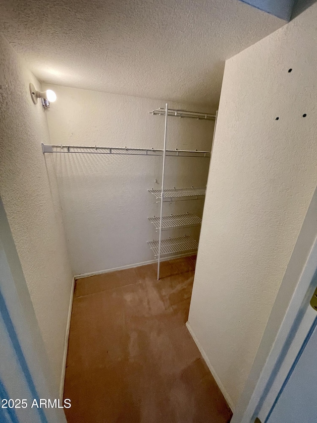 spacious closet featuring carpet