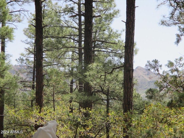 exterior space with a mountain view and a view of trees