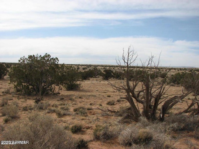 6091 River Run Dr Unit 397, Heber, AZ 85928