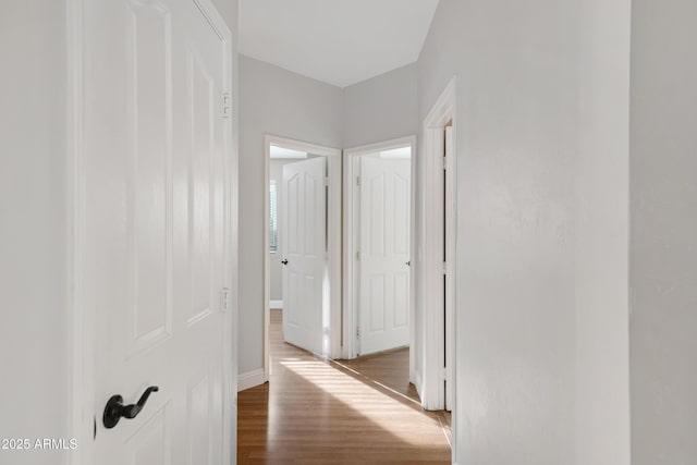 hall with dark hardwood / wood-style floors