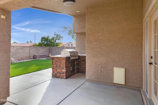 view of patio / terrace with grilling area and exterior kitchen