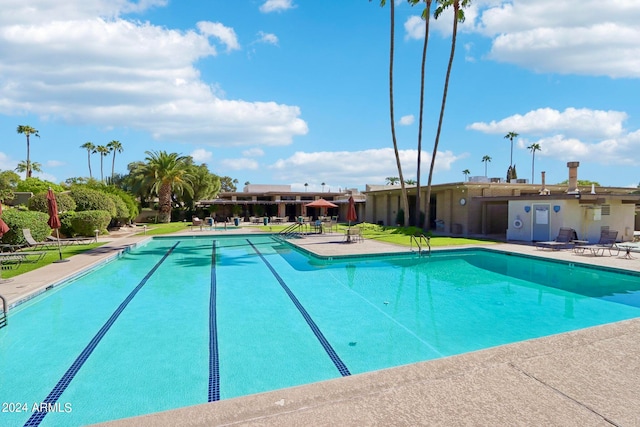 view of pool with a patio