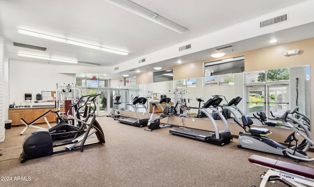 workout area with plenty of natural light