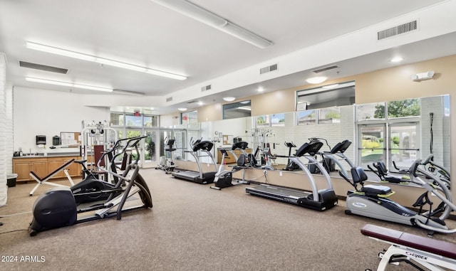 workout area with a wealth of natural light