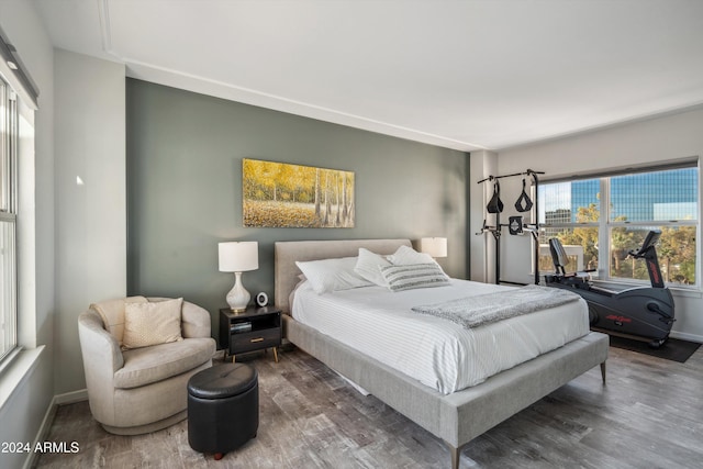 bedroom featuring dark wood-type flooring