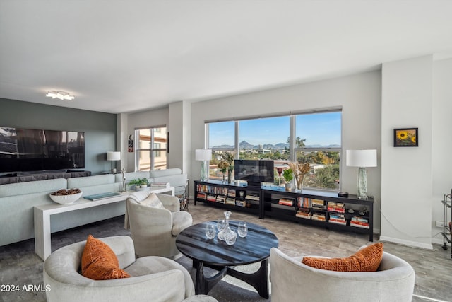 living room with hardwood / wood-style floors and plenty of natural light