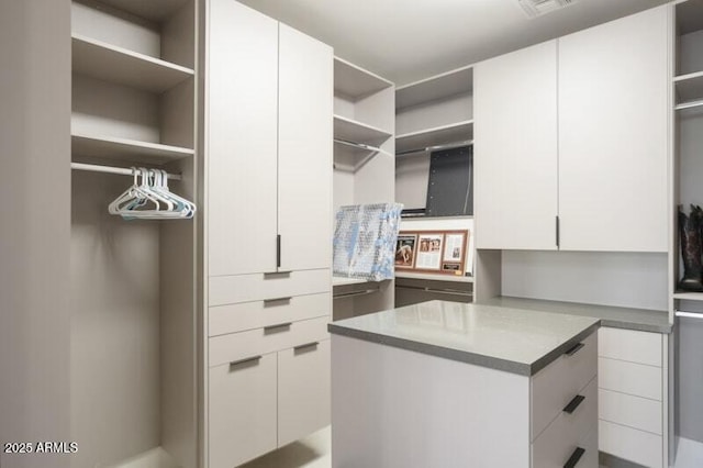 26285 N 89th St, Scottsdale, AZ 85255 - view of walk in closet