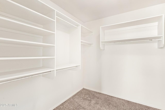 10001 W Potter Dr, Peoria, AZ 85382 - walk in closet featuring carpet flooring