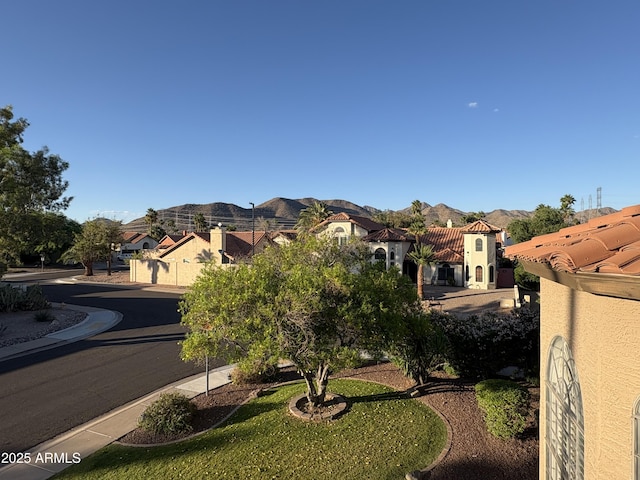 10997 E Altadena Ave, Scottsdale, AZ 85259 - view of yard