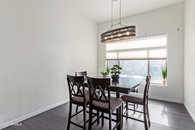 dining space featuring dark hardwood / wood-style flooring