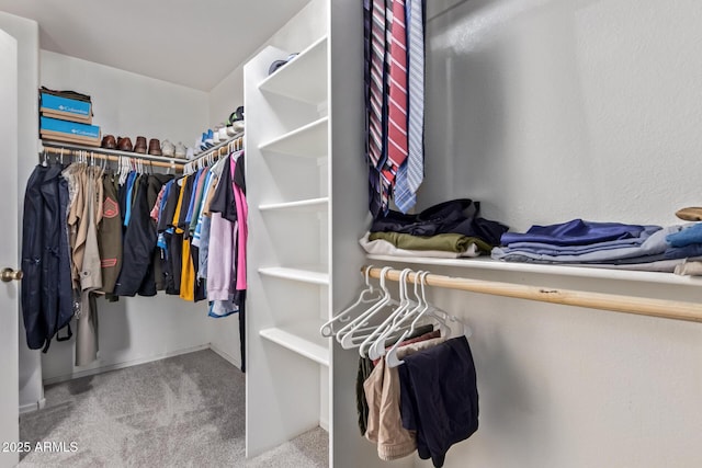 walk in closet with light colored carpet