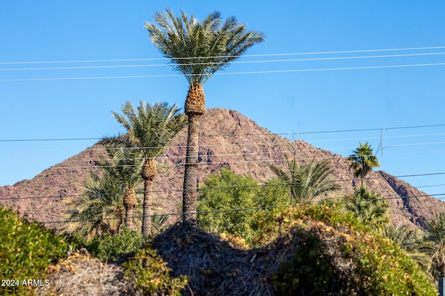 view of mountain feature