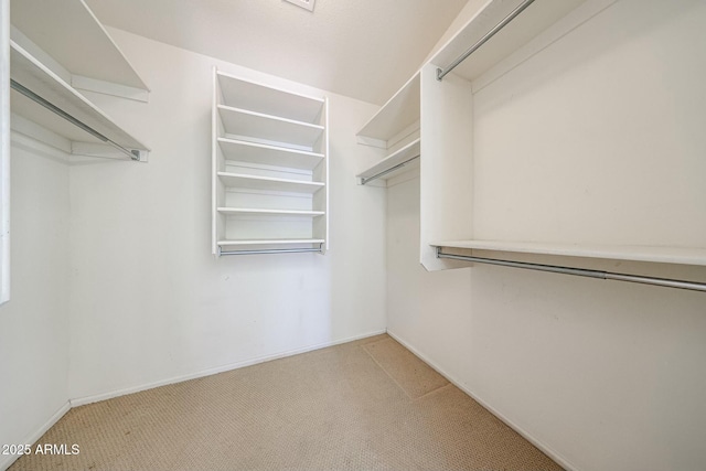 28604 N 21st Ln, Phoenix, AZ 85085 - walk in closet with carpet floors