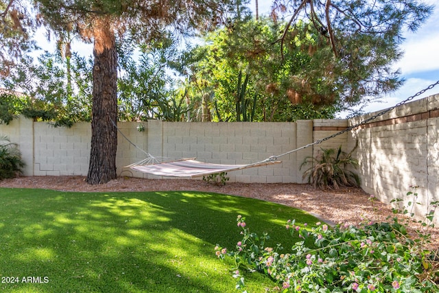 10338 E San Salvador Dr, Scottsdale, AZ 85258 - view of yard