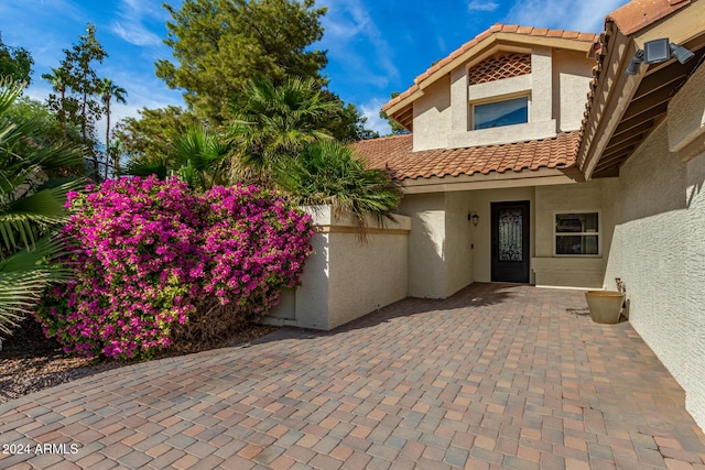 10338 E San Salvador Dr, Scottsdale, AZ 85258 - view of patio