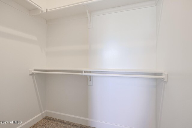 walk in closet with carpet flooring