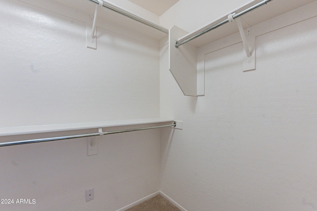 walk in closet featuring carpet flooring