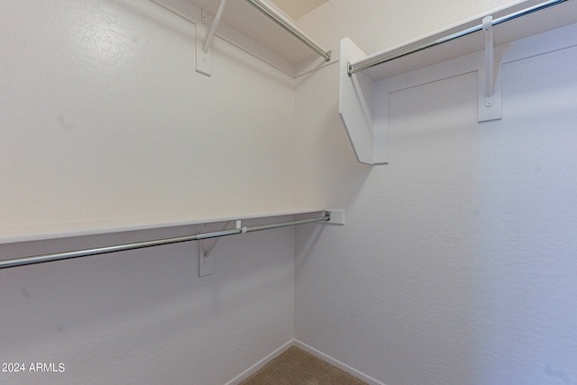 spacious closet with carpet