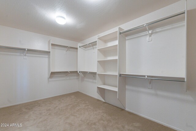 spacious closet with carpet flooring