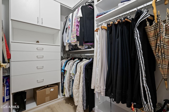 walk in closet with light hardwood / wood-style floors