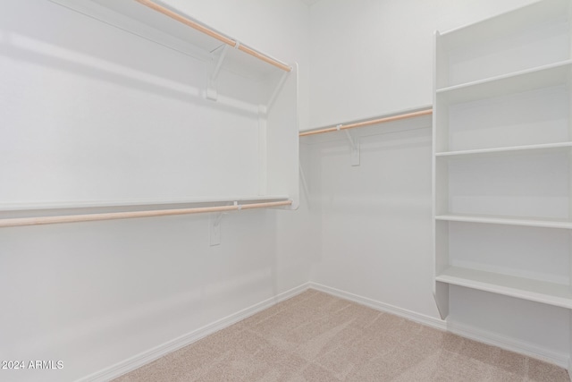 spacious closet featuring carpet flooring