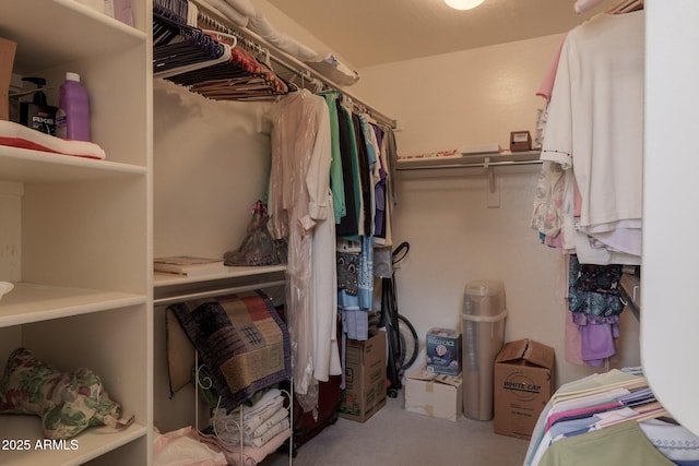 view of walk in closet
