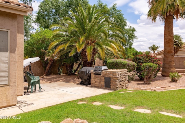 view of yard featuring an outdoor kitchen and a patio