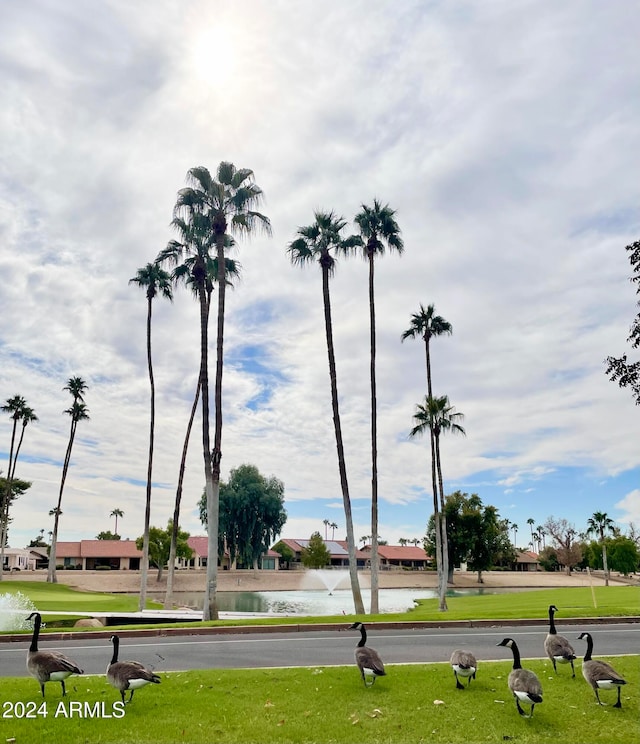 view of property's community with a water view