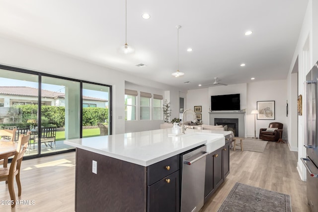 kitchen featuring stainless steel dishwasher, open floor plan, plenty of natural light, and a fireplace