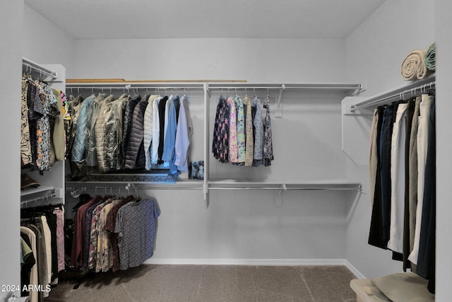 walk in closet featuring carpet floors