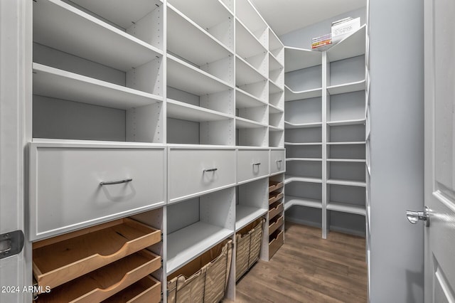 spacious closet featuring dark wood-type flooring