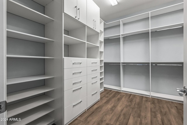 walk in closet featuring dark hardwood / wood-style floors