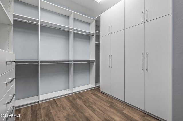 spacious closet featuring dark hardwood / wood-style flooring