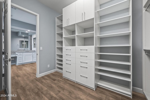 walk in closet featuring dark hardwood / wood-style flooring