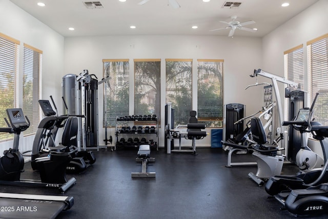 exercise room featuring a wealth of natural light and ceiling fan