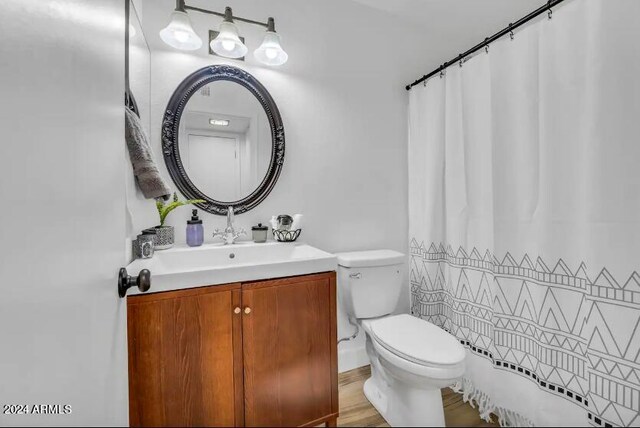 bathroom featuring toilet, vanity, and wood-type flooring